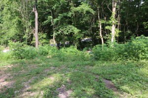 5448 Rock Springs Rd, Harrison, AR 72601 - photo 4