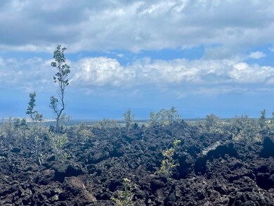 12 Lehua Ln, Ocean View, HI 96704 - photo 6