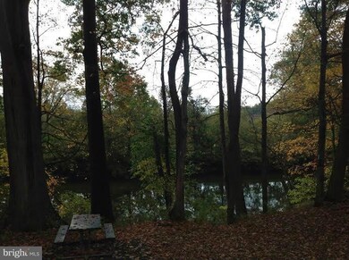 1564 Deer Rapids Rd, Strasburg, VA 22657 - photo 5