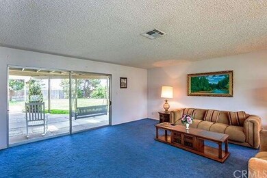 View of huge backyard from living room.