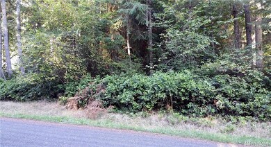 10807 Riviera Dr unit AI, Anderson Island, WA 98303 - photo 3