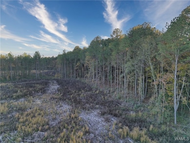 0 Pleasant Way, Jasper, AL 35501 - photo 5