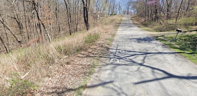 Lot 3 Pyramid Ln, Holiday Island, AR 72631 - photo 3