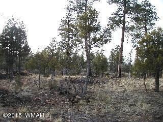 2014 Judy ranch Rd3
