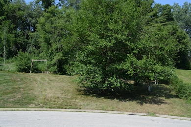 0 Hill St N, La Crescent, MN 55947 - photo 2