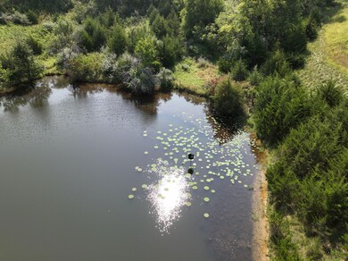 R45 Highway, Prole, IA 50229 - photo 4