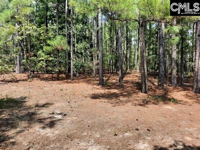 569 River Rd, Salley, SC 29137 - photo 6