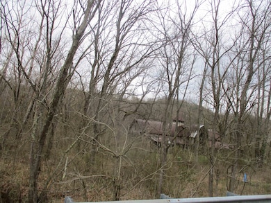 0 Kentucky 207, Argillite, KY 41121 - photo 4