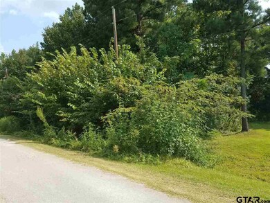 000 Bent Trail, New Chapel Hill, TX 75707 - photo 6