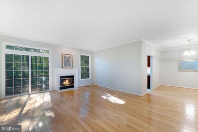 1376 Park Garden Ln, Reston, VA 20194 - photo 6