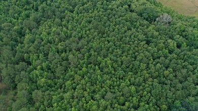 Aerial view of property's location