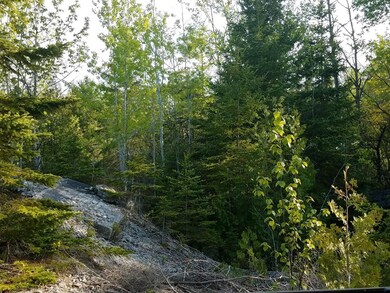 Boundary Rd. Parcel (15)