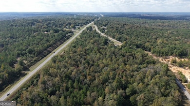 412 Georgia 137, Cusseta, GA 31805 - photo 6