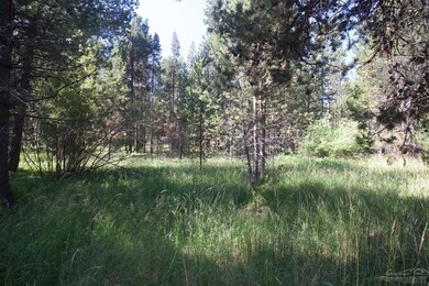 16845 Hermosa Dr, Bend, OR 97707 - photo 5