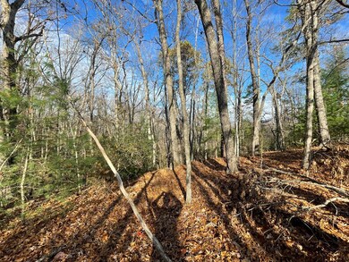 80-3 Hemlock Walk, Bryson City, NC 28713 - photo 6