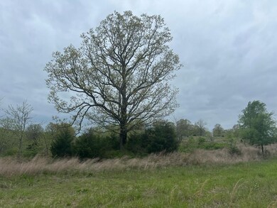 0 State Highway D, Thornfield Township, MO 65762 - photo 7
