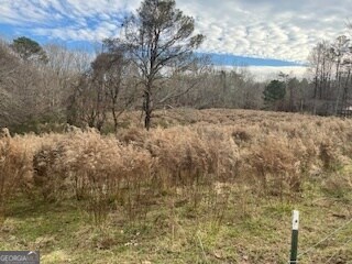 0 Julius Bridge Rd unit 10656513, Ball Ground, GA 30107 - photo 5