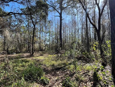 Looking towards back of property