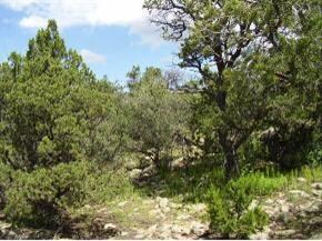 hiddenlane4