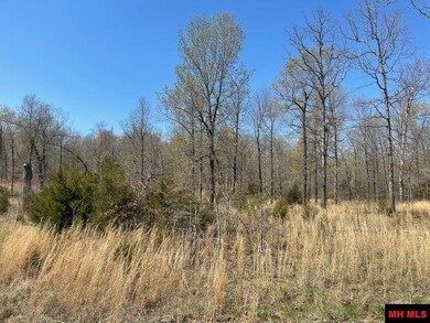 173 Ross Ln, Elizabeth, AR 72531 - photo 4