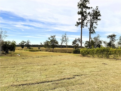 203 Tidal Marsh Way, St. Marys, GA 31558 - photo 5