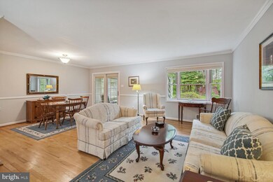 904 Cannon Rd, Silver Spring, MD 20904 - photo 4
