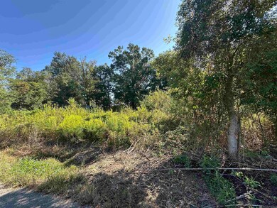 .31 Acres Rod Anderson Rd, St. Amant, LA 70774 - photo 7