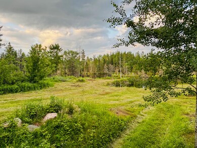 IMG_7654