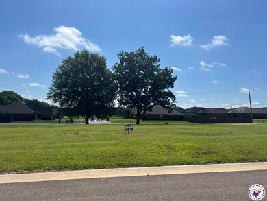 432 Paisley Cir, Texarkana, AR 71854 - photo 3