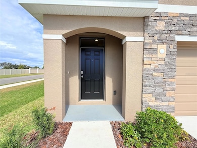 33142 Osprey Peak Way, San Antonio, FL 33576 - photo 5