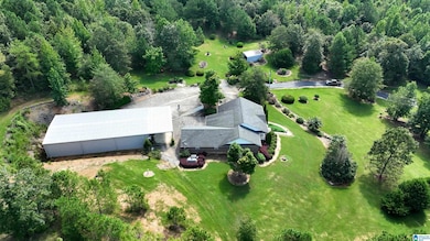 3941 Shoal Creek Rd, Ashville, AL 35953 - photo 4