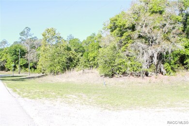 11074 N Edith Point, Citrus Springs, FL 34434 - photo 5