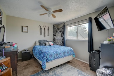 12520 Conejo Rd NE, Albuquerque, NM 87123 - photo 5