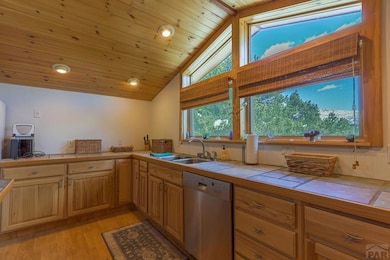 33103 Little Bear Dr, Trinidad, CO 81082 - photo 7