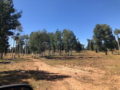 0 N Fork County Rd, Duck Creek Village, UT 84762 - photo 6