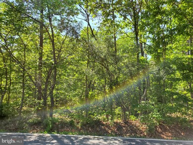 17.08 Acres Apple Harvest Dr, Glengary, WV 25421 - photo 2