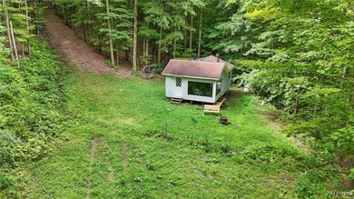 00 Beebe Hill Rd, Cuba, NY 14727 - photo 4