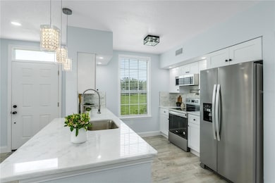 10520 White Lake Ct unit 10520, Tampa, FL 33626 - photo 5