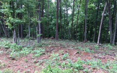 L43 B Mountain Rivers Ln, Mineral Bluff, GA 30559 - photo 3