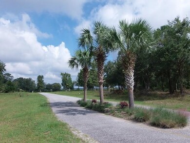 View from lot
