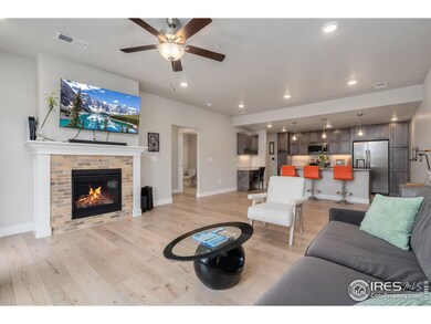 827 Schlagel St unit 3, Fort Collins, CO 80524 - photo 6