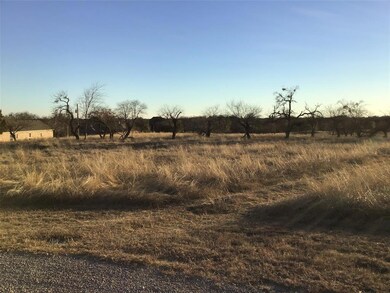 35022 Shadywood Ct, Whitney, TX 76692 - photo 3