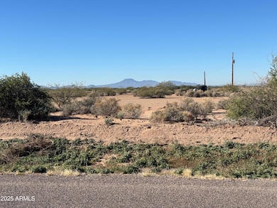 8540 S Thornton Rd unit 9B, Casa Grande, AZ 85193 - photo 7