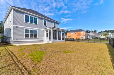 206 Calm Water -Tidalcreekphoto- (19)