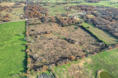 21214 Raccoon Rd, Stella, MO 64867 - photo 6