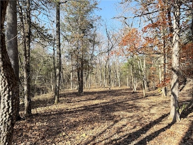 0 Owens Ln, Peel, AR 72668 - photo 6