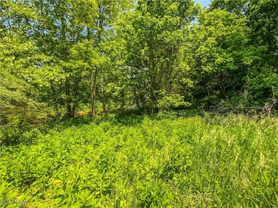 0 Dolezal Rd, Dillonvale, OH 43943 - photo 6