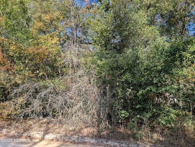 236 2nd Way, Interlachen, FL 32148 - photo 4