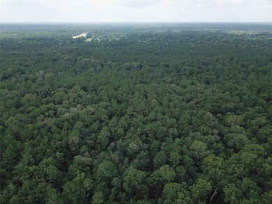 000 Burr Rd, Vidor, TX 77662 - photo 6