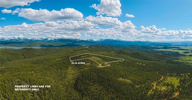 Nhn Trapper Ridge, Philipsburg, MT 59858 - photo 4